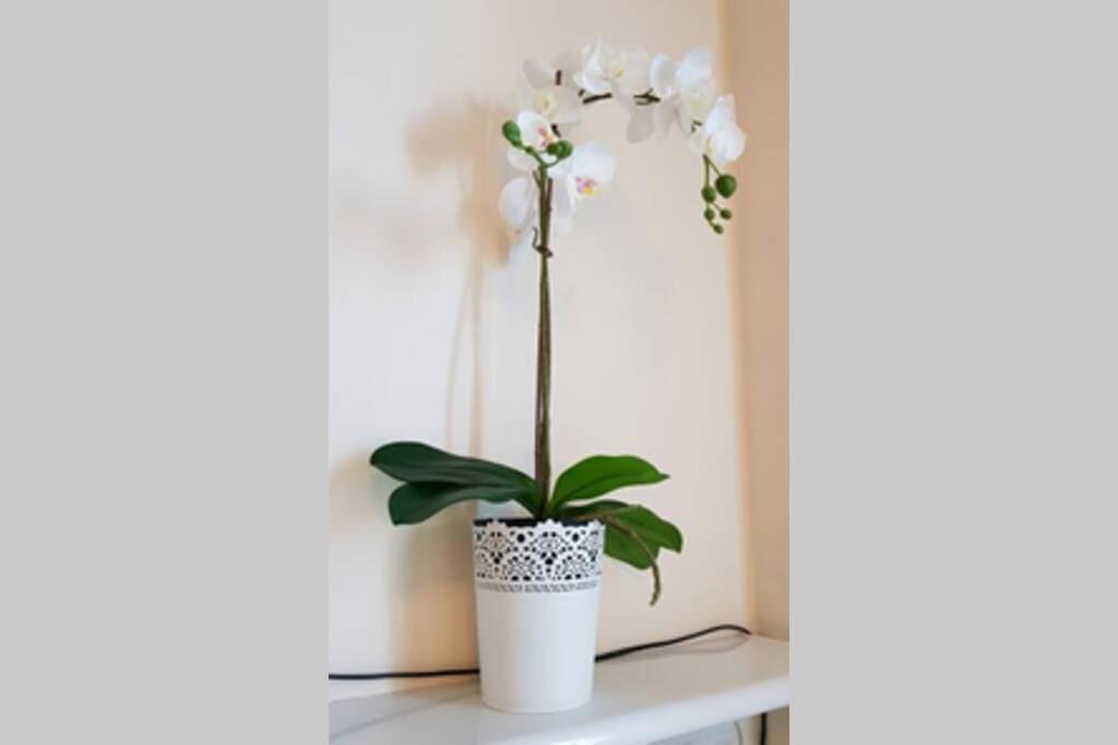 Appartement Cozy Modern Astoria Magic Orange Old Town *